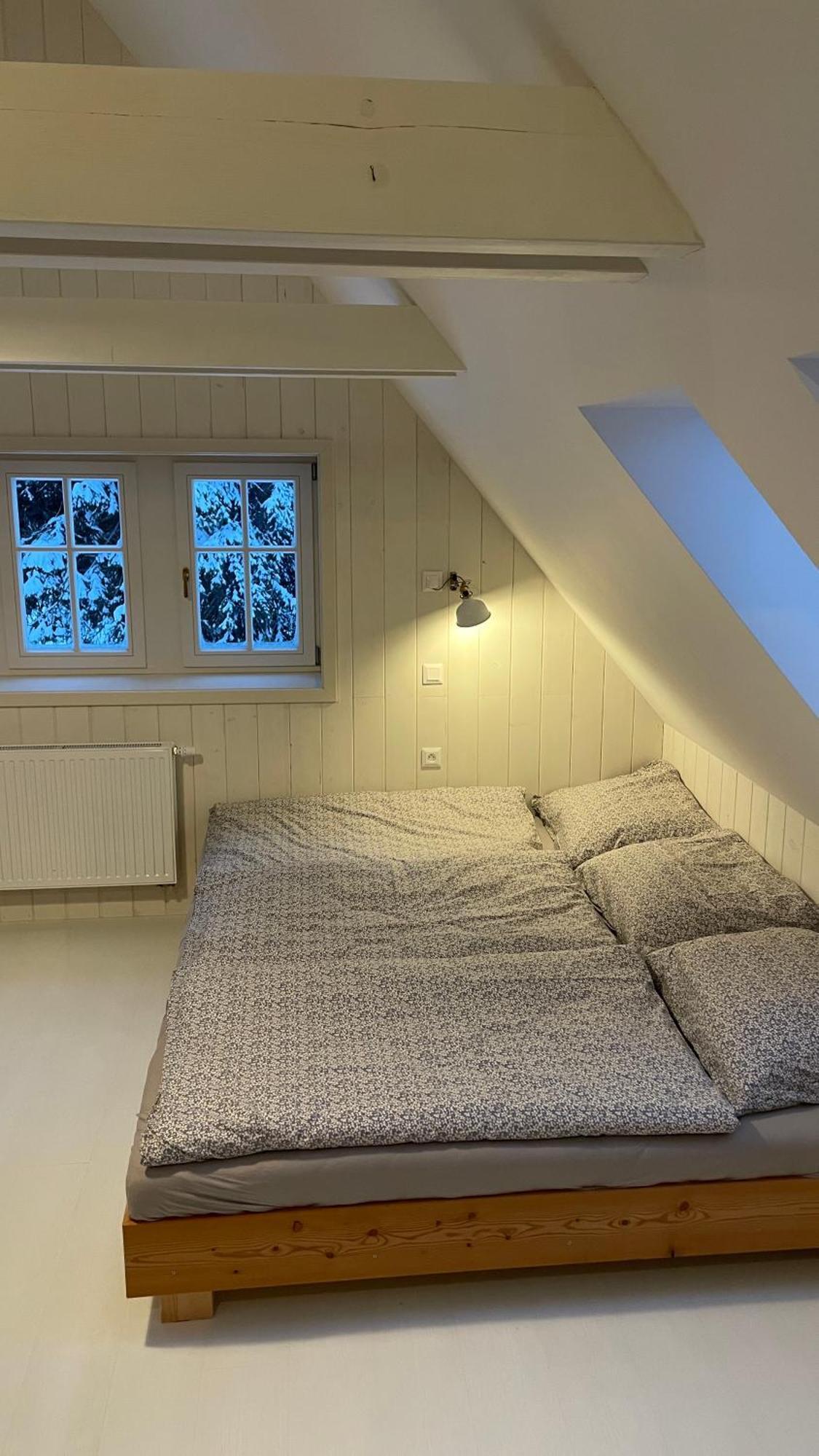 Izerina Cottage Horni Maxov Ngoại thất bức ảnh
